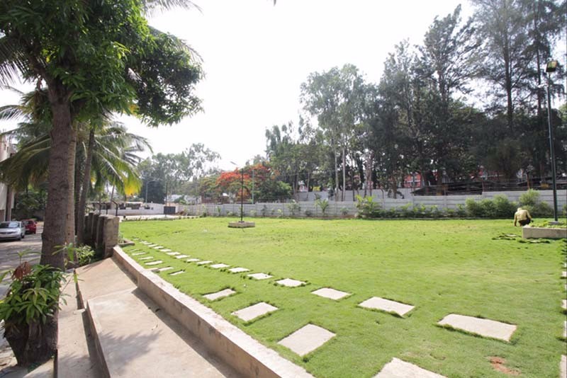 Mayflower lawn
