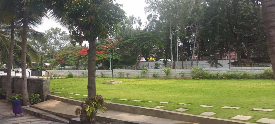 Mayflower lawns beneath coconut trees